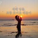 해돋이 - 완도군 고금동로647번길 53 | 해돋이