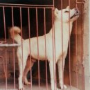 창진농장 이미지