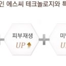 예스25 이미지
