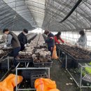 괴산군농업기술센터 이미지