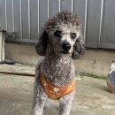 금정제일공원 이미지