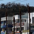 통영항 여객선터미널 이미지