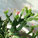 자연의 순환 이미지