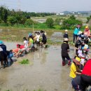 광주북초등학교 이미지