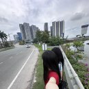 도마차로R 이미지