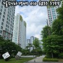 경형데이비드