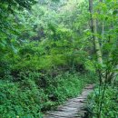 8월 13일 완주 공기마을 편백숲 한오봉 산행,트레킹 이미지