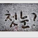 더눈