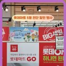 대덕할인마트 | 롯데마트 전단 세일기간 문화센터 영업시간 휴무일