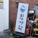 콘서트유흥주점 | 허접들아 부산까지 오느라 수고했고 결항 보여줄게