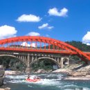 용대농장 이미지