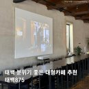 태백875