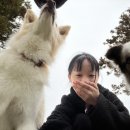 올댓노형