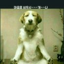 (주)도란도란부동산중개법인 이미지