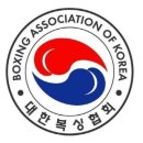 팀 몬스터 복싱 이미지