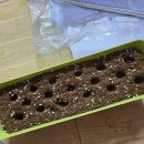 모산골 | [임신36주] 딱지네 일상 3