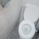 변기막힘 네이버블로그