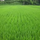 (유)동진환경 이미지