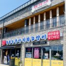 몬스터펫샵 용인포곡점 이미지