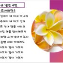 가야금 꿈을 꾸다 이미지