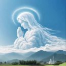 산지관리행정사사무소 이미지