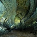 2021 제주국제관악제 이미지