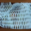 반딧불청과 이미지