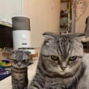 하늘노래방 이미지