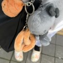 마니랑 빌딩 | 2025 천안 빵빵데이 후기 (부제:천안사람의 천안 빵맛집 추천)