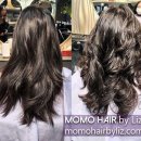 THE FORM hair