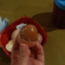 김포건강랜드 이미지