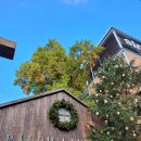 리스캐빈 | 11월 성수 랄프로렌 팝업 예약 후기 (리스만들기)