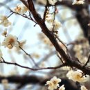(주)노워리즈 네이버블로그