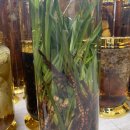 (주)성우식품 이미지