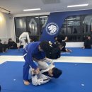 김포골든라이온주짓수