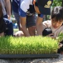 춘화로 14-3 이미지