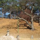 흥령선원지 동행미디어 시대