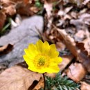 이마당약수터 이미지