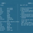 (주)리가 Daum카페