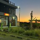 우도흑돼지 이미지