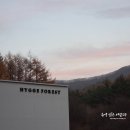 수범상회 | 평창 5성급 캠핑장 모든게 좋았던 휘게포레스트 #1. 체크인, 덕희상회 매점, 편의시설