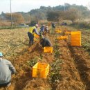 사랑농장 이미지