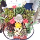 (주)소셜원 이미지