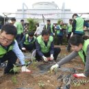 분당구청 이미지