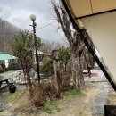 계룡산글램핑 동월숲 티스토리