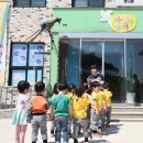 자연아 놀자 이미지