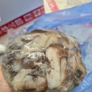 주문로 | 농라 카페 주문방법 새조개 쭈꾸미 구입 후기