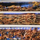 운영수산회센타 이미지