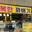 울릉도이야기