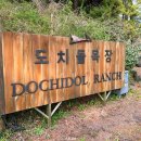 이원선목장 | 제주 애월 가볼 만한 곳 도치돌목장, 투숙객 3천 원 알파카 체험 꿀팁 후기